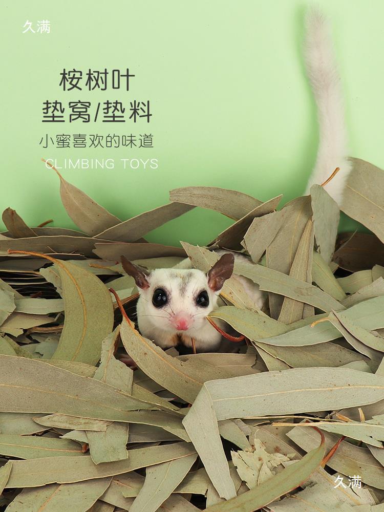 Eucalyptus Leaves, Honey Bag, Honey Quoll, Molar Teeth, Disinfection Mat, Eucalyptus Branches, Honey Cage Interior Decoration Toys