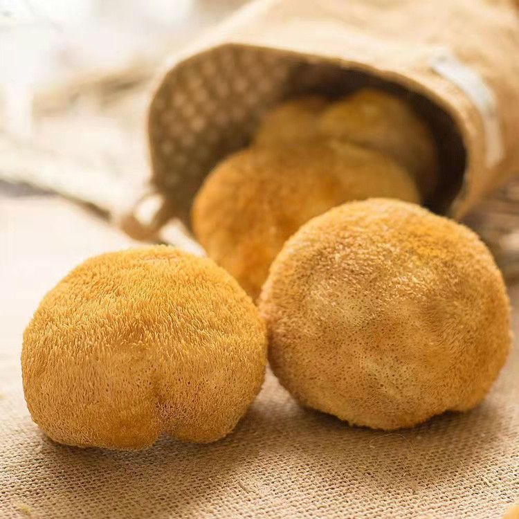 [Одноразовая доставка] оптовая продажа, гриб обезьяний, для супа