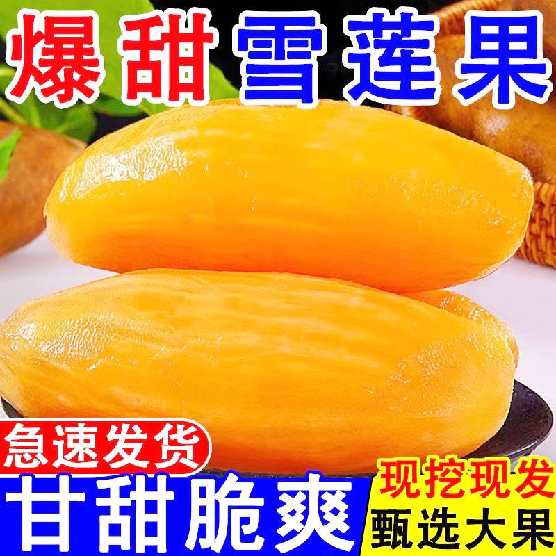 Crisp Sweet Juicy Yunnan Yacon Red Heart Yellow Heart Long Round Fruit Seasonal Fresh Fruit Whole Box Wholesale Water