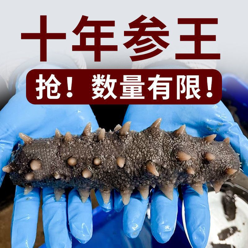 10-year-old ginseng king high quality deep-sea ready-to-eat sea cucumber independent packaging single Dalian ready-to-eat sea cucumber Liaoshen postage