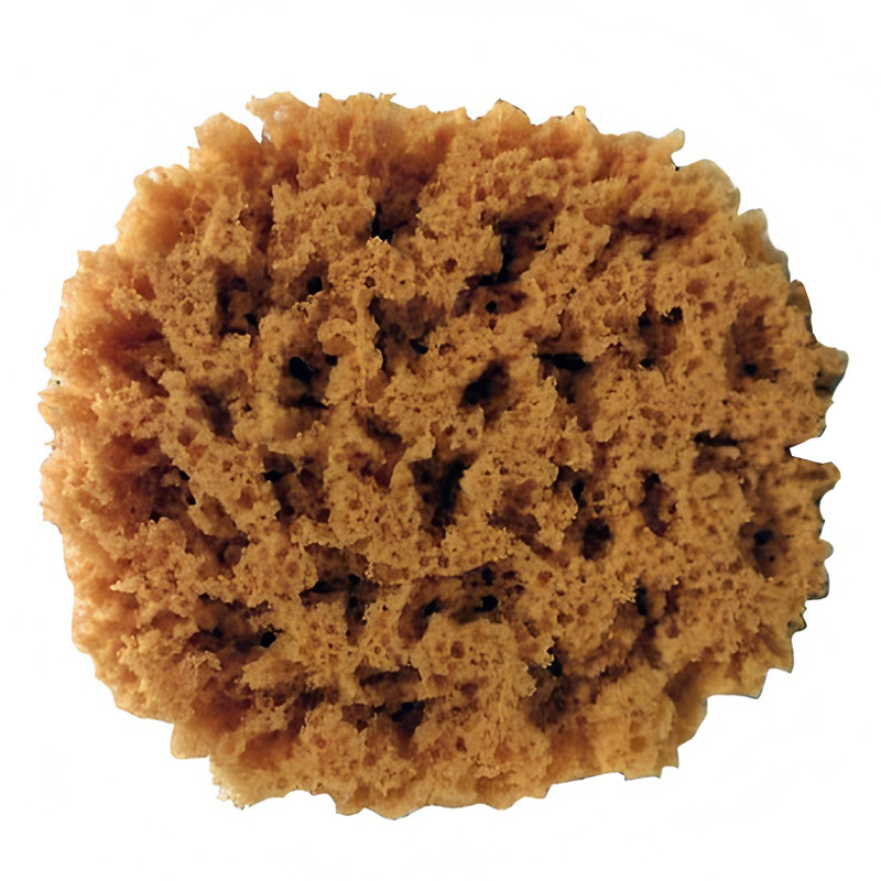 Artificial Sponge Printing Tool Color Wiping Sponge Imitation Honeycomb Seaweed Sponge Stippling Art Paint Dipped Flower Coloring Sponge