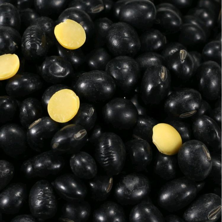 Factory wholesale new cereals freshly ground soybean milk raw materials low temperature baking cooked yellow core black bean yellow heart grinding powder