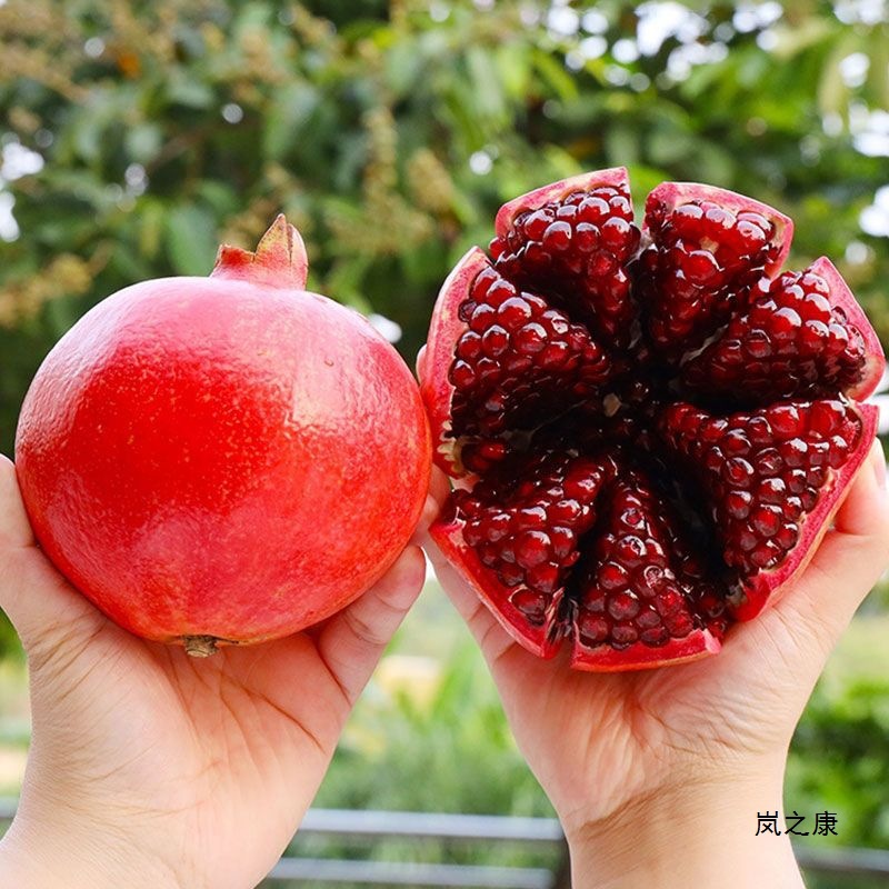 [Now Picked] Tunisian Soft Seed Pomegranate, Sichuan Huili Fresh Seasonal Fruit, Black and Red Heart, Super Sweet, Whole Box Wholesale