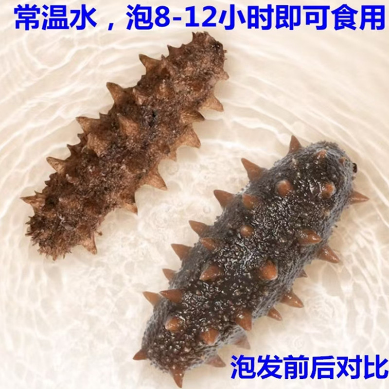 Wholesale Fast-Hair Sea Cucumber FD Freeze-Dried Sea Cucumber Gift Box Cold Water Free-Boiling Fast-Hair Sea Cucumber