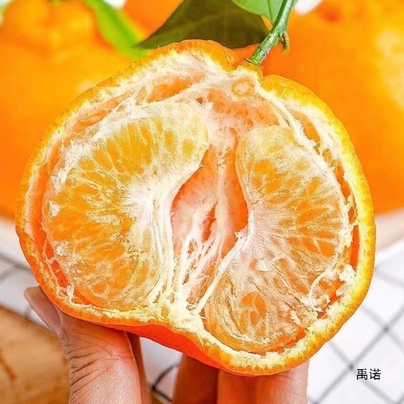 Sichuan Chunjian Raked Mandarin Fresh 5kg Seasonal Fruit Seasonal Papa Mandarin Orange Pure Sweet Ugly Orange