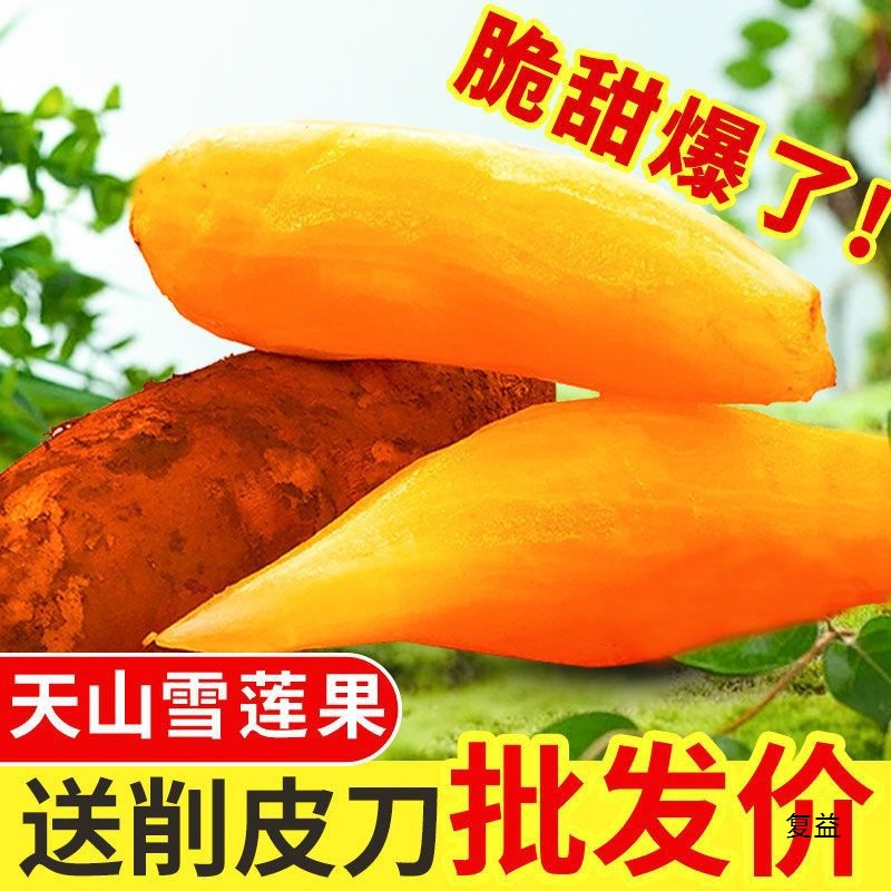 Yunnan Red Heart Tianshan Snow Lotus Root 0.5-5kg Fresh Fruit Seasonal Wholesale Whole Box Wholesale Free Shipping