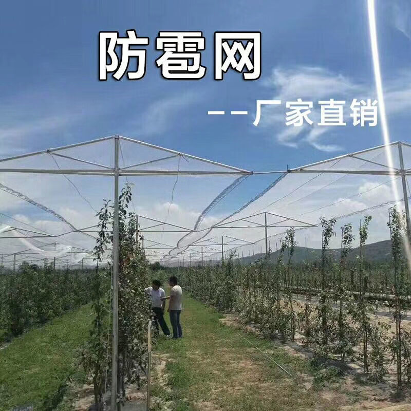 Сетка от града для фруктовых деревьев, овощных садов, сетка от птиц для винограда и вишни, полиэтиленовая сетка от падения объектов