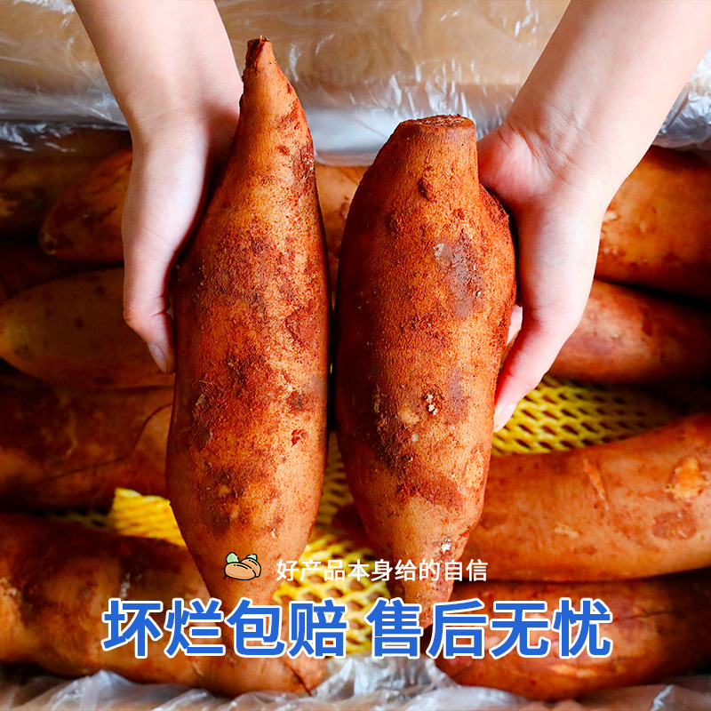 Tianshan Snow Lotus Root 4.5kg Fresh Fruit Yunnan Seasonal Whole Box Freshly Digged Snow Lotus Root Red Heart Free Shipping