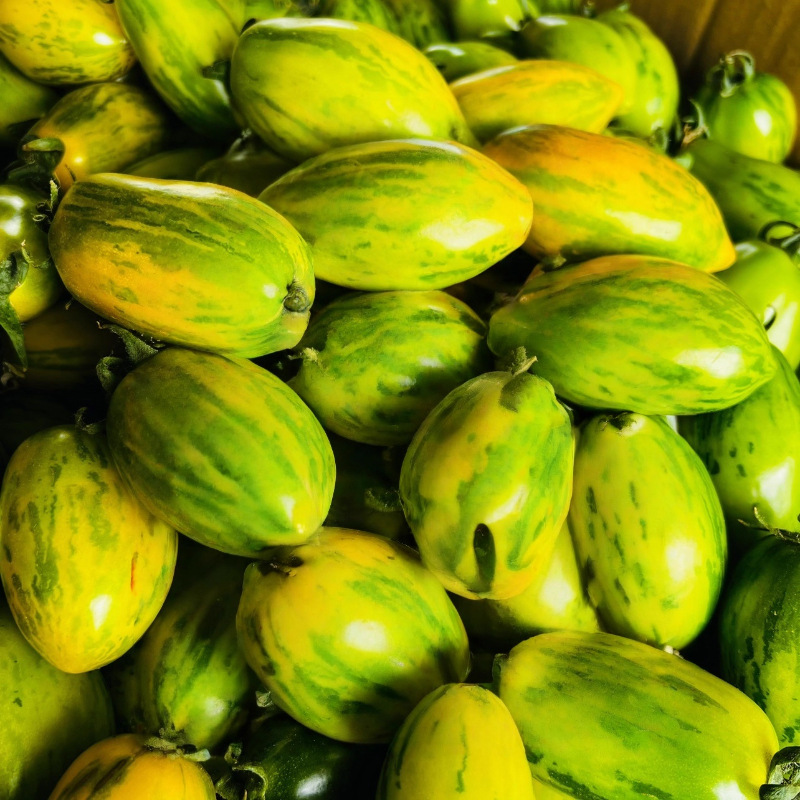 Fresh Northeastern Fruits: Red and Yellow Tiger-Skinned Small Tomatoes, Newly Opened Spring Peach Tomatoes, and Flower-Skinned Tomatoes