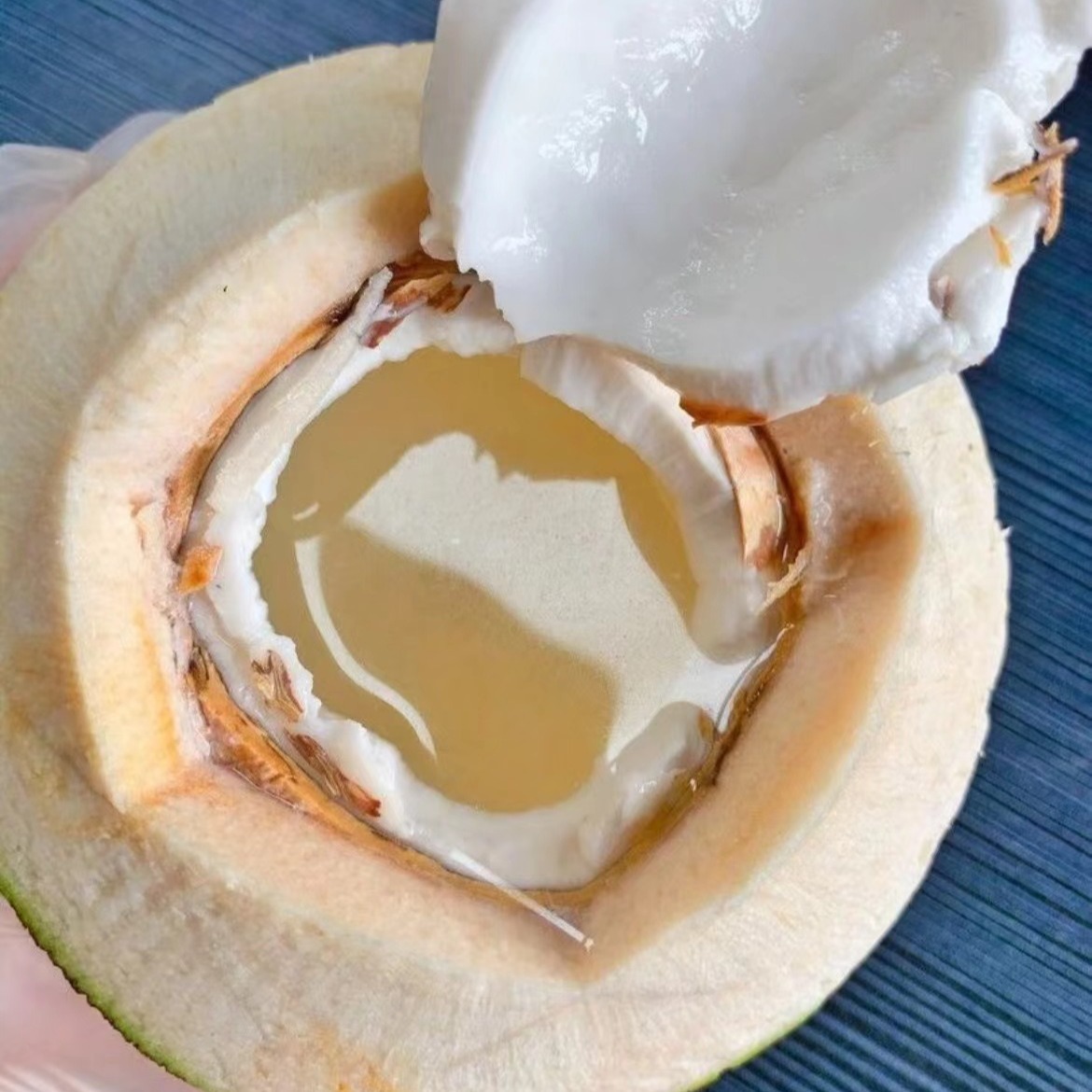 Coconut Green 9 Pack Hainan Coconut Green Peel Fresh Coconut Hainan Wenchang Now Pick Good Fruit Whole Box Free of Mail