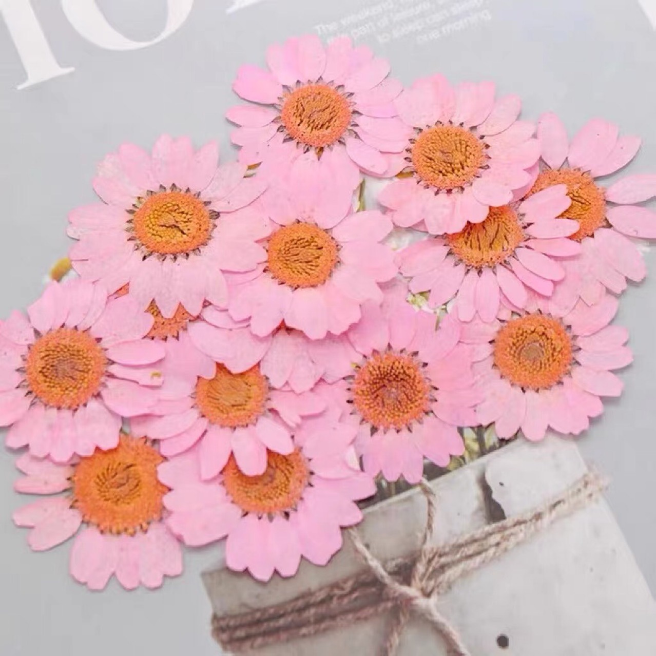 Dried Flower Embossed White Crystal Chrysanthemum Embossed Glue Crafts Handmade DIY Materials Plant Teaching Specimens Dried Flower Makeup