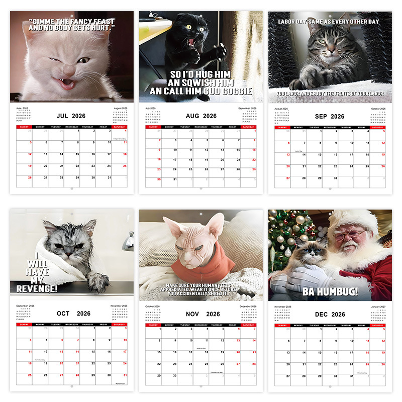 Cross-Border New Product 2026 Pissed-Dff Cats Angry Cat Calendar Wall Horse Riding Nail Calendar Ready for Sale