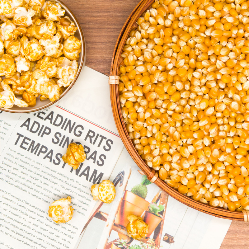 Popcorn corn grain ball Jin ball burst 500g spherical raw material American grain wholesale source factory
