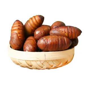 Fresh Northeastern Special Grade Tussah Silkworm Pupa, Wild Yellow Large Silkworm Pupa, Live Cicada Pupa, Wild Black Whole Box
