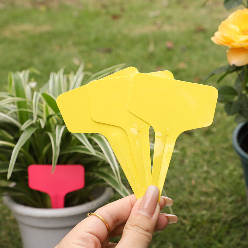 Thickened T-shaped potted plant identification plate waterproof sunscreen plastic insert plate plant flower label fleshy sign