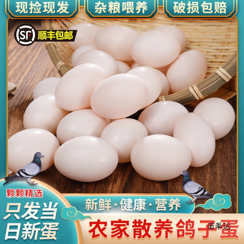 Pigeon Eggs, Fresh White Homing Pigeon Eggs, Farm Grains and Free-Range Eggs, 10-30 Pieces for Pregnant Women and Babies