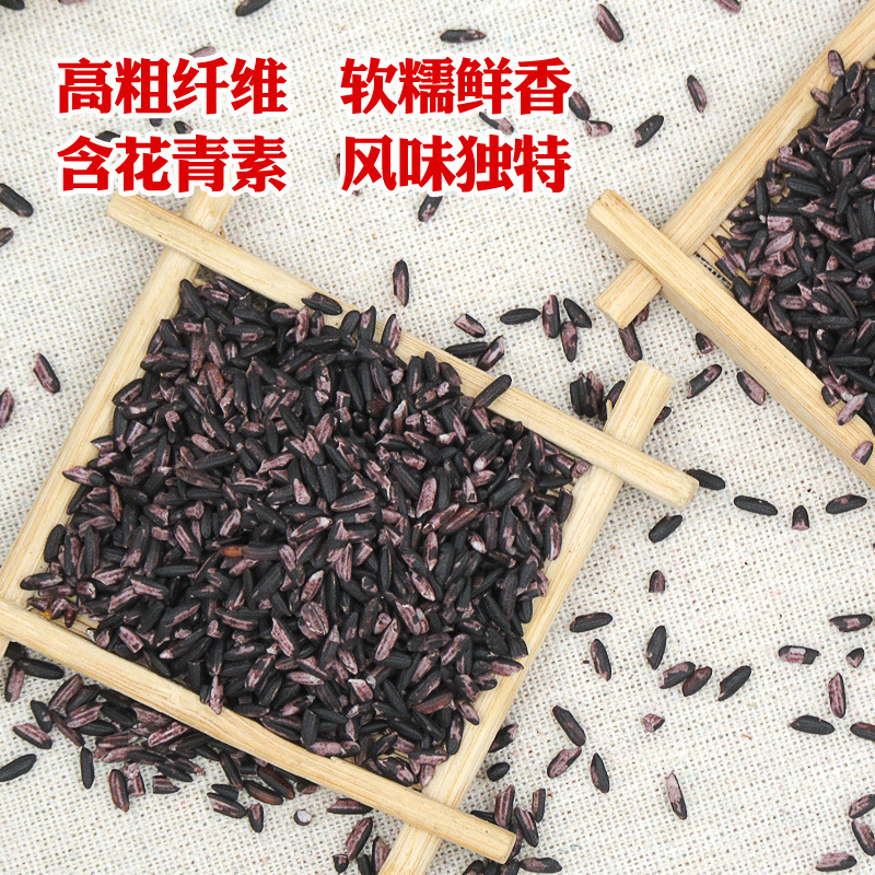 Xinhonghe Organic Purple Rice 500g Northeastern Purple Rice Multigrain Coarse Grain Purple Rice Balls Purple Rice Dew Rice Dumplings Boiled Porridge Ingredients