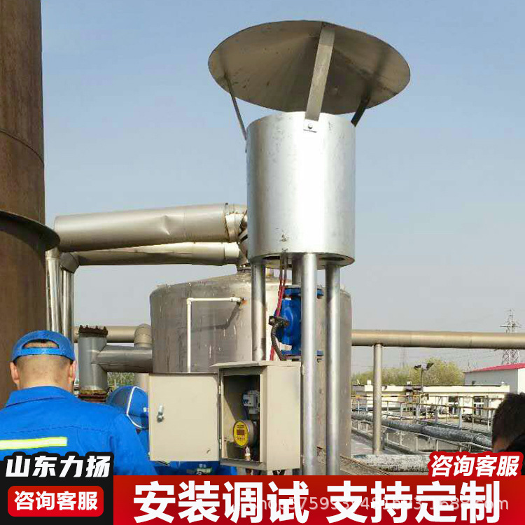 Biogas Anaerobic Torch Biogas Torch Micro Small Torch Complete Burning System for Paper Mill Landfill