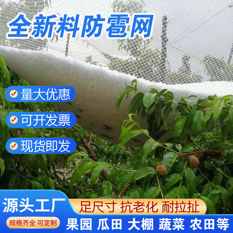 Anti-Hail Net, Anti-Bird Net, Apple Orchard, Vineyard Anti-Bird Net, New Material, Anti-Oxidation Gauze Net, Farm Gardening Anti-Bird Net