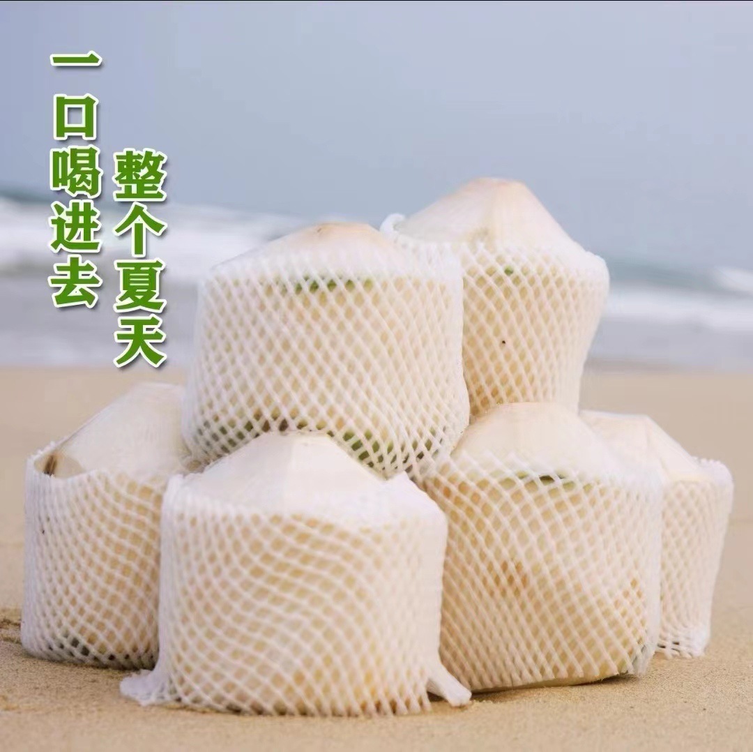 Coconut Green 9 Pack Hainan Coconut Green Peel Fresh Coconut Hainan Wenchang Now Pick Good Fruit Whole Box Free of Mail