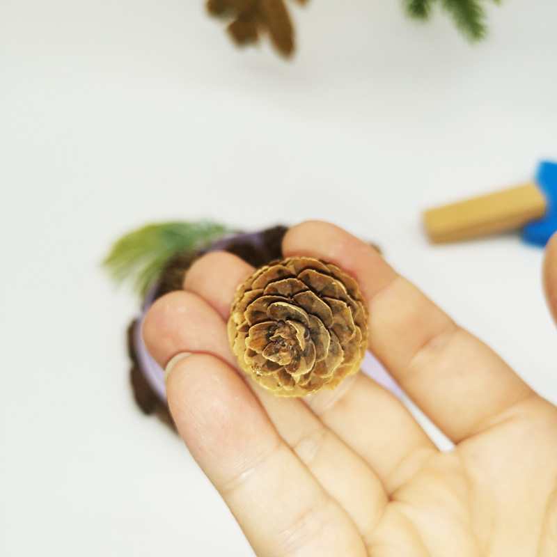 Larch pine dried flower pine tower painted white mini pine fruit dyed white pine flower DIY decorative accessories wholesale