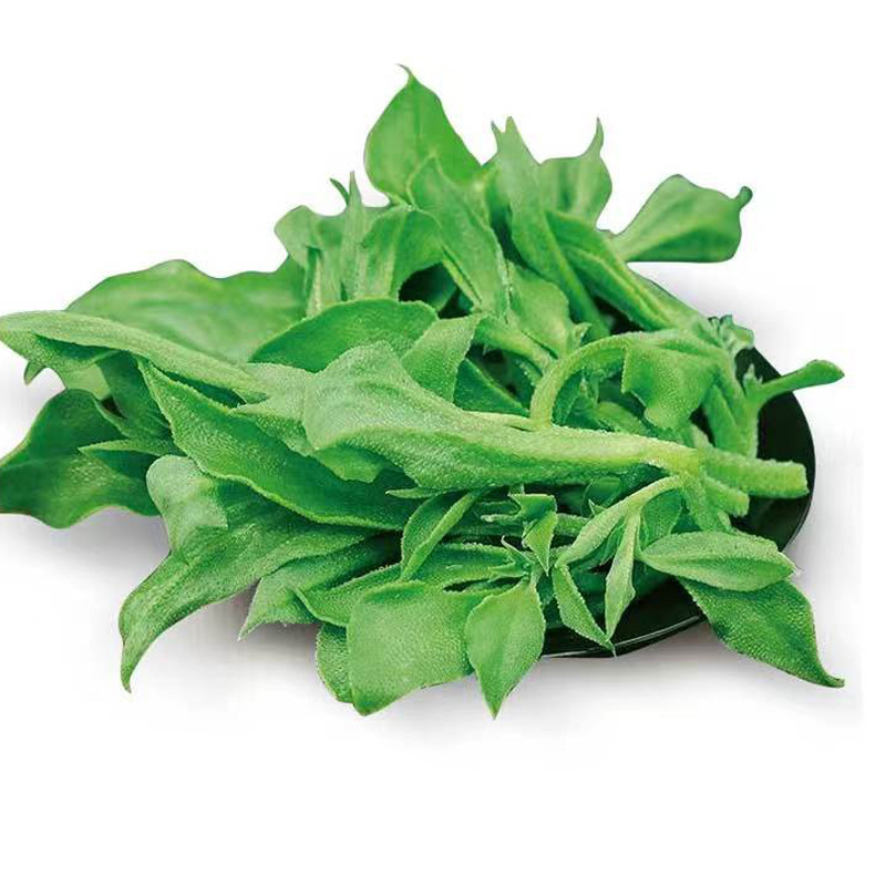 Crystal Ice Grass Seeds Four Seasons Indoor Balcony Potted Specialty Vegetables African Ice Grass Seeds Refreshing Original Color Pack