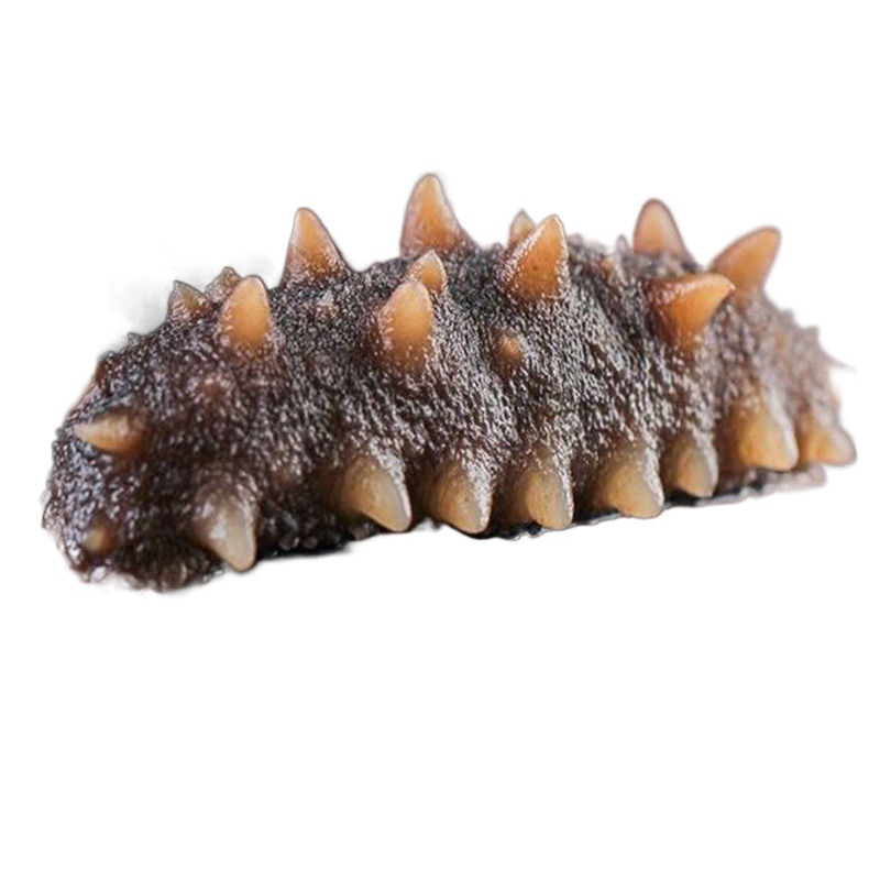 Sea cucumber ready-to-eat Dalian Liao ginseng sea cucumber sea cucumber wholesale gift box gift tonic mixed batch AliExpress