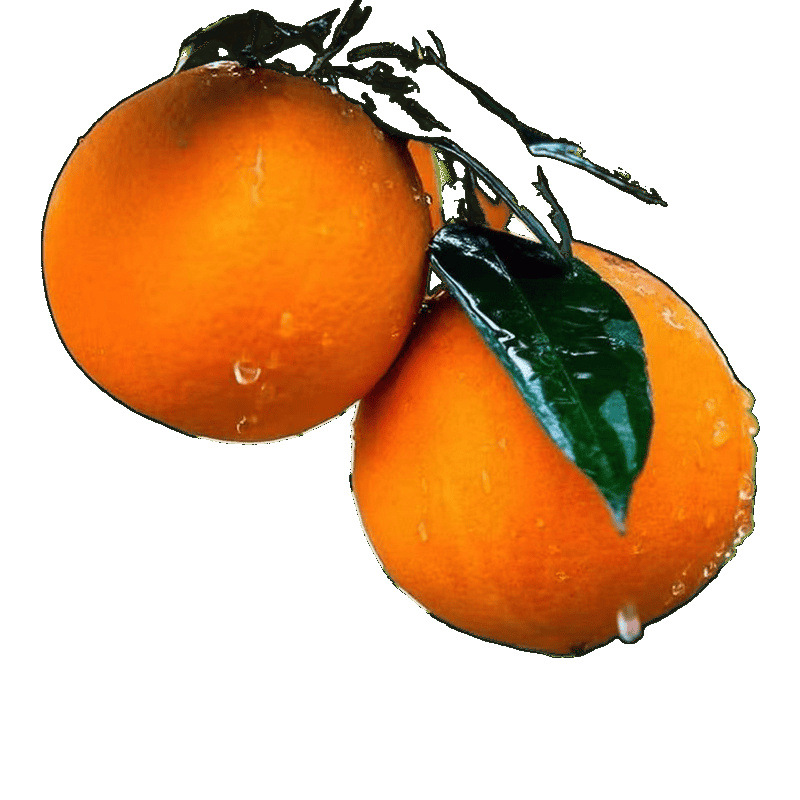 Alpine Summer Oranges, Freshly Picked Fresh Oranges, Seasonal Hand-Peeled Sweet Oranges, Thin-Skinned Navel Oranges, a Whole Box with Free Shipping