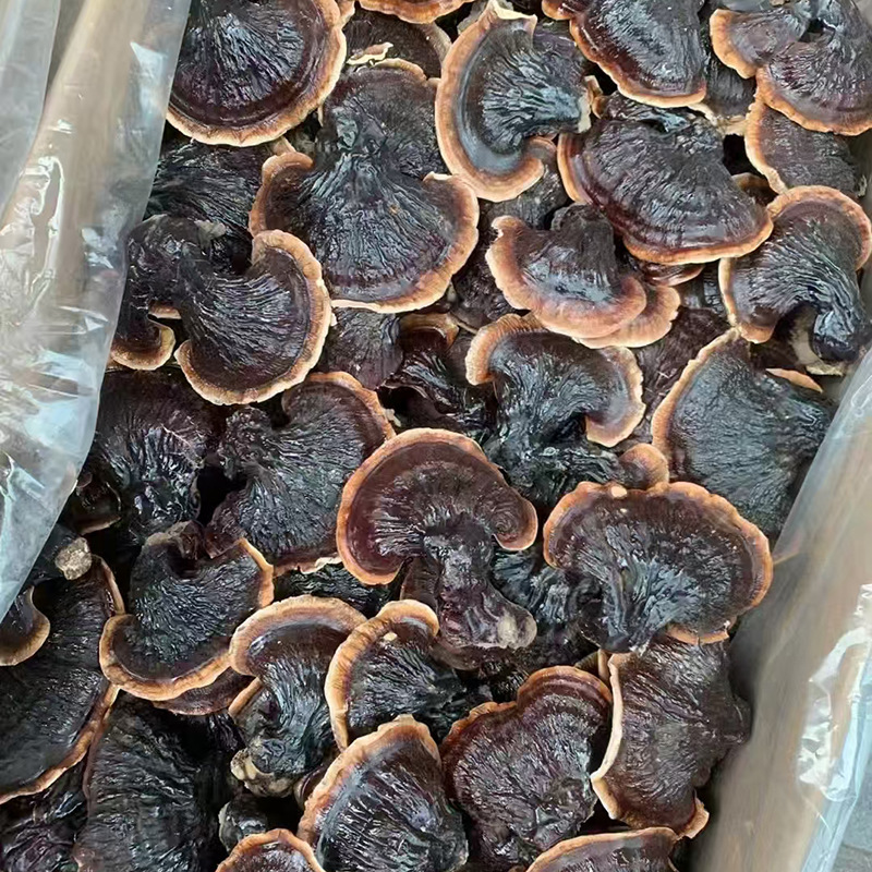 in stock small Phnom Penh Ganoderma lucidum not bitter net red small fragrant lucidum soaked in water soup origin straight hair large favorably fragrance