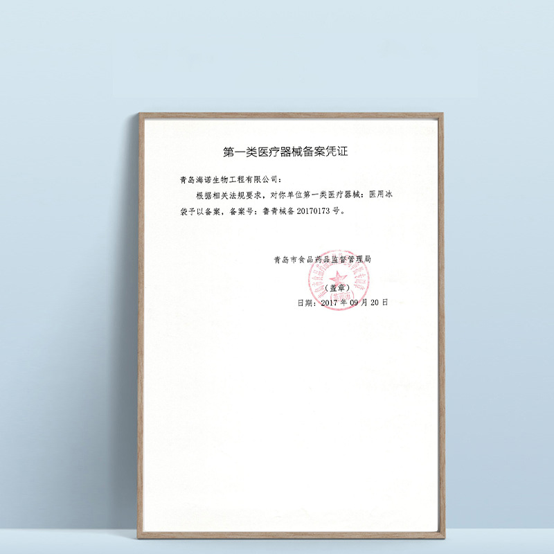 Heinold Medical Ice Bag in stock Disposable Cold Compress Ice Bag Medical Cooling and Fever Portable 6-Bag Ice Bag