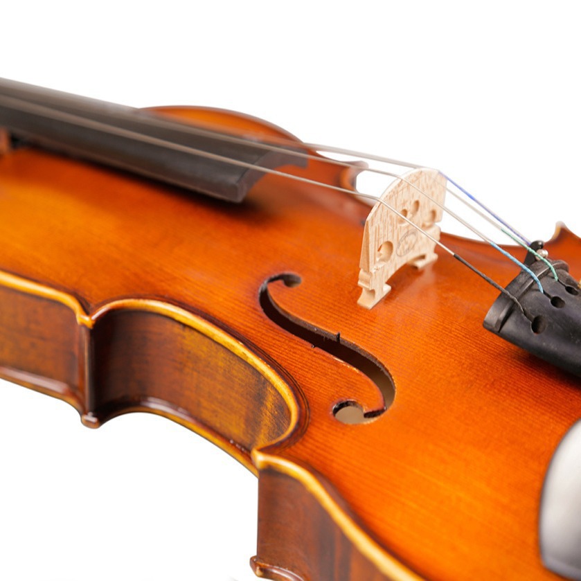 Muse Matte Pattern Violin Handmade Brazilian Wood Bow Ebony Accessories Violin