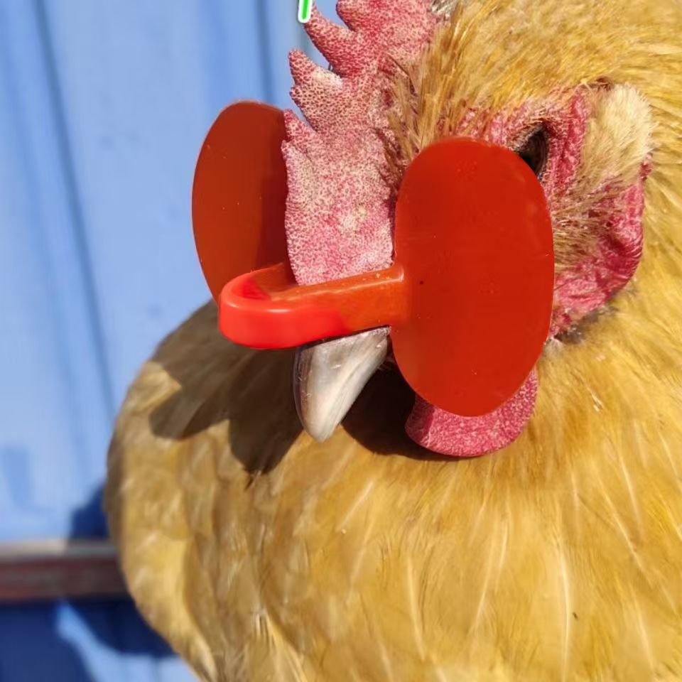 Chicken Glasses Anti-pecking Fighting Universal Chicken Glasses Chicken Glasses Eye Mask Anti-fighting Hole Large Native Chicken Cock Eye