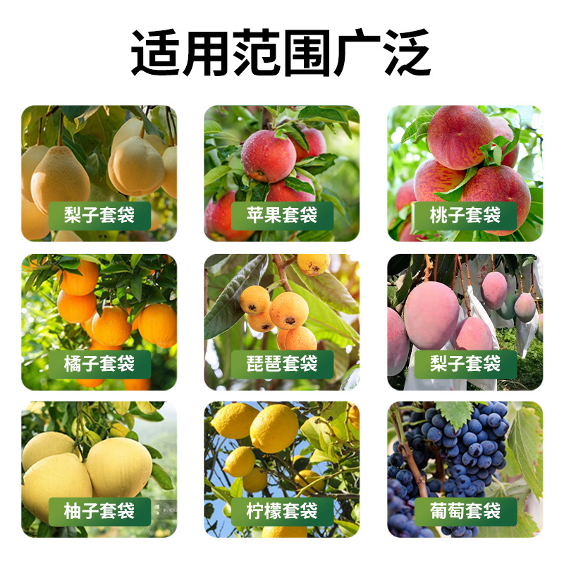 Wholesale Mango Bagging Loquat Bag Mango Bag Lotus Mist Bagging Insect Proof Waterproof Rain Proof Fruit Bagging
