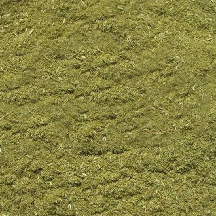 Feed Grade Pine Needle Powder Crude Fiber Feed Chicken Duck Goose Cattle Sheep Pig Horse Donkey Feed Cost Saving Pine Needle Powder