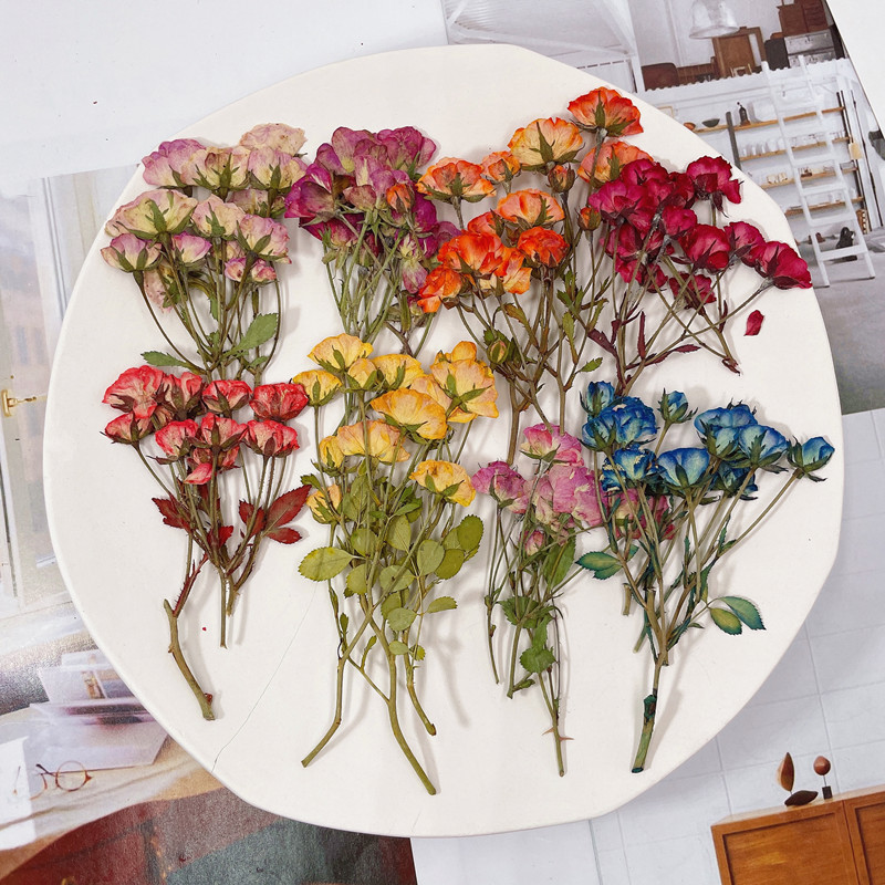 Многоцветные сухие цветы розы, тисненные, клей для мобильных телефонов, свечи, фоторамки, ручные материалы, образцы растений
