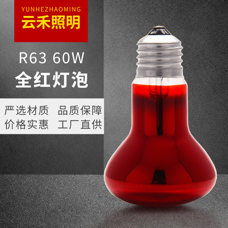R63 60W Infrared Light Bulb Baking Light Bulb Hatching Animal Heating Human Space Capsule Physiotherapy Bulb