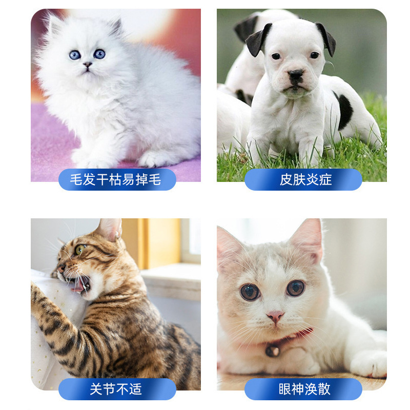 Deep-Sea Fish Oil Capsules for Cats and Dogs, Universal for Kittens and Adults, Full-Price Cod Liver Oil Nutrition, Pet Fish Oil