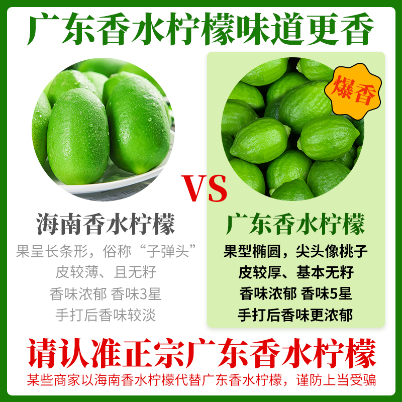 Guangdong Perfume Lemon Fresh Authentic Green Lemon Seedless Large Fruit First-Class Fruit Seasonal Fruit Milk Tea Shop Exclusive