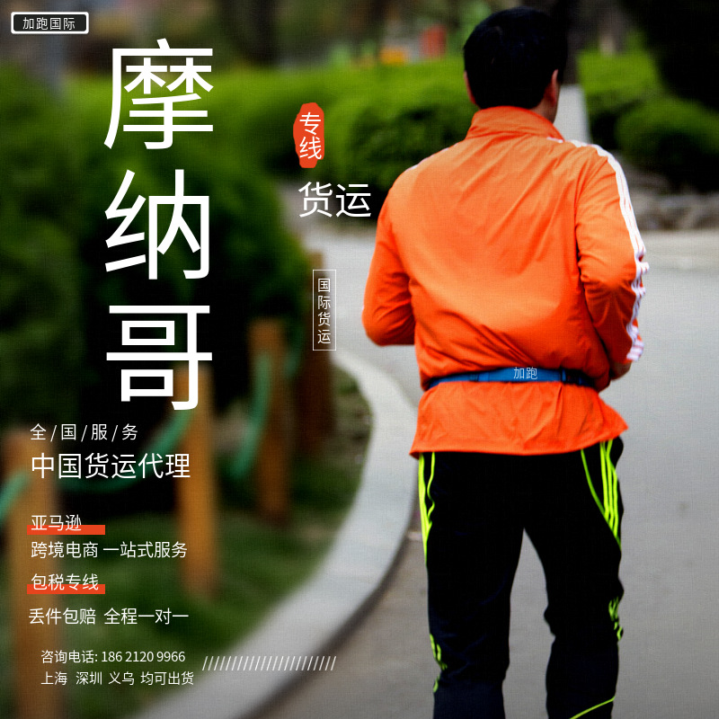 Специализированные авиаперевозки и морские грузоперевозки Монако, международная экспресс-доставка, двойная очистка, налоги включены