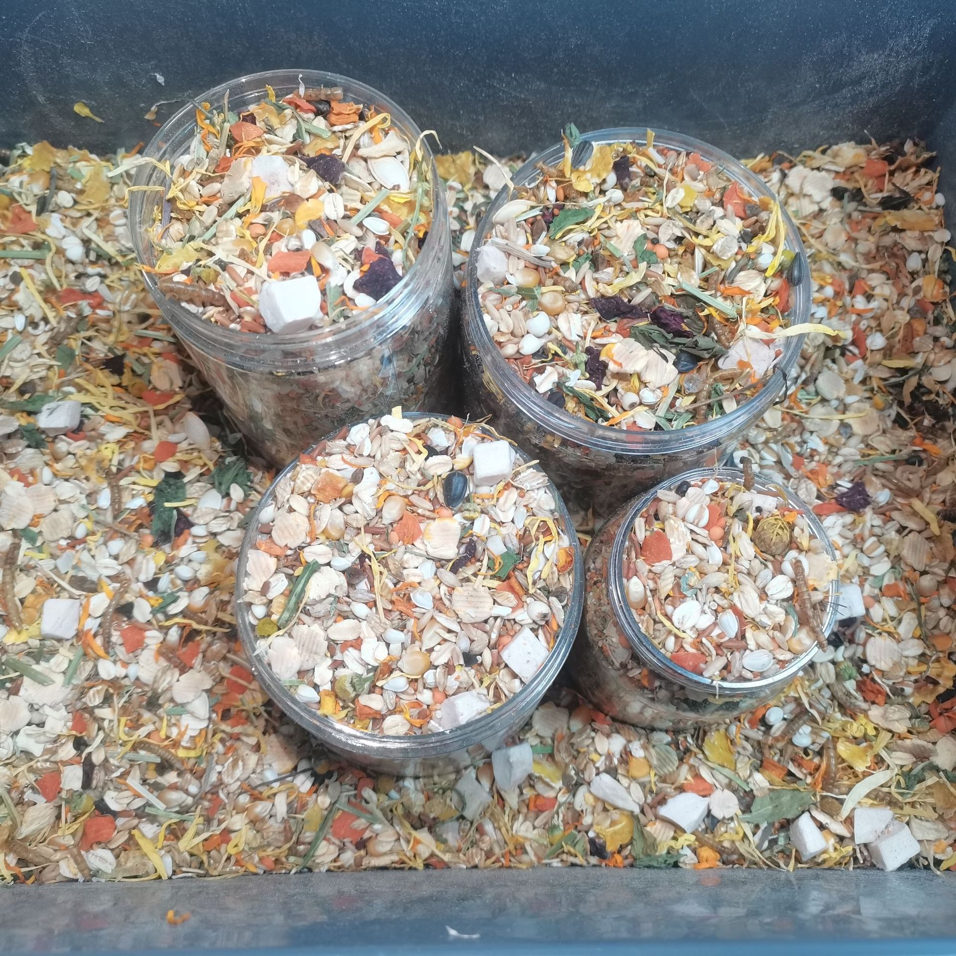 Full Price Golden Bear Food 017 (Priced 450g, No Free Shipping) Grain Nutrition Grain Hamster