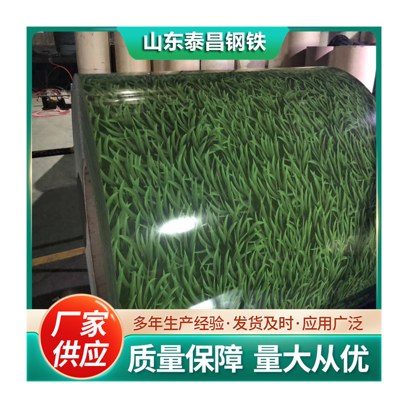 Customized Color-Coated Panels for Construction, Aluminized Zinc Color Steel Rolls, Color-Coated Aluminum Rolls, Color Steel Rolls, Color-Coated Steel Sheets