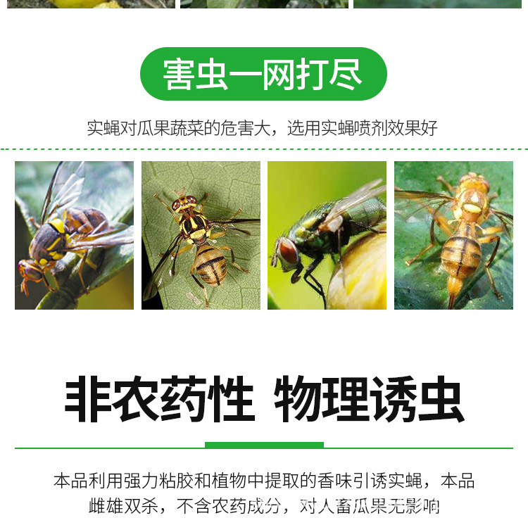 Factory direct double-sided sticky insect board trap board yellow board blue board coated factory wholesale greenhouse tea garden orchard greenhouse