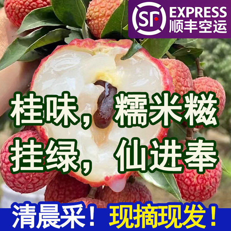 Fresh Glutinous Rice Cakes with Lychee Flavor from Gaozhou, Guangdong, Seasonal Produce