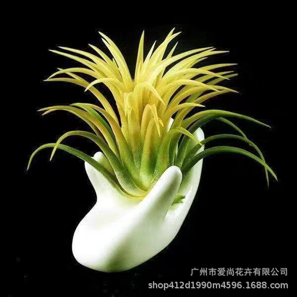 Воздухопроницаемый ананас, желтый эльф, оптовая продажа, базовая доставка, безземельное ленивое растение, офисное настольное украшение, цветы
