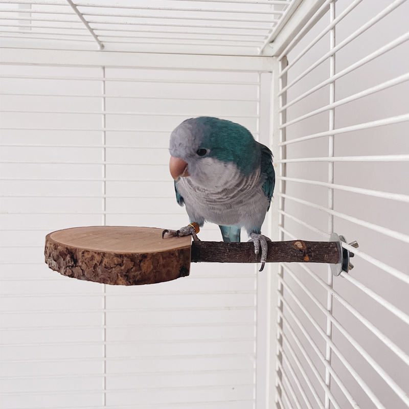 Parrot Stand Bird Ping Pong Platform Totoro Molar Apple Wood Jumping Platform Squirrel Wooden Stand Pole