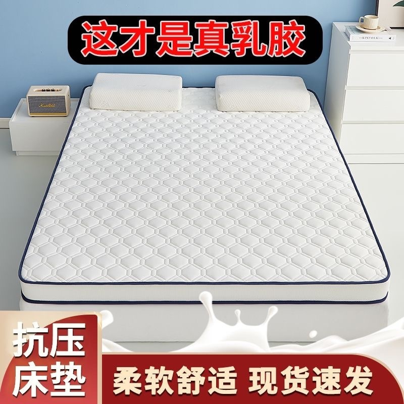 Thickened Latex Mattress for Home Summer Foldable Cool Silk Student Dormitory Single and Double Mattress Floor Mat