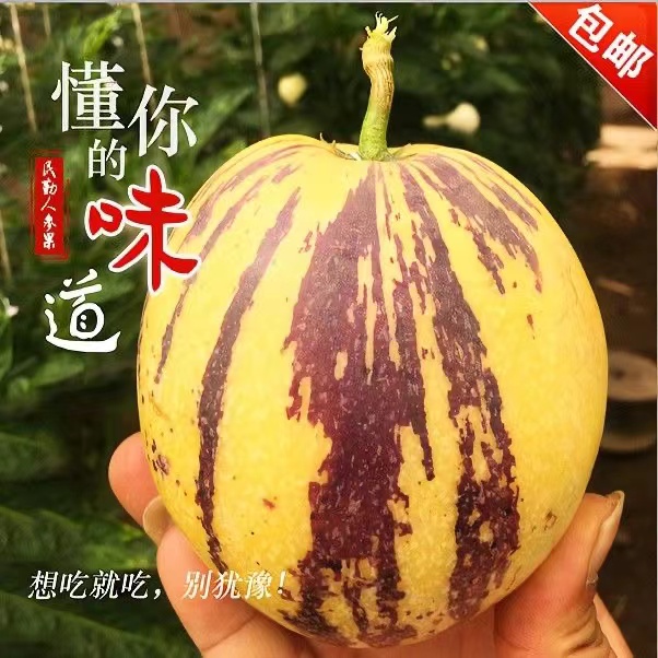 Sweet and Juicy Gansu Minqin Ginseng Fruit with Yellow Flesh and Yellow Heart, Freshly Picked Seasonal Low-Sugar Fruit, a Whole Box