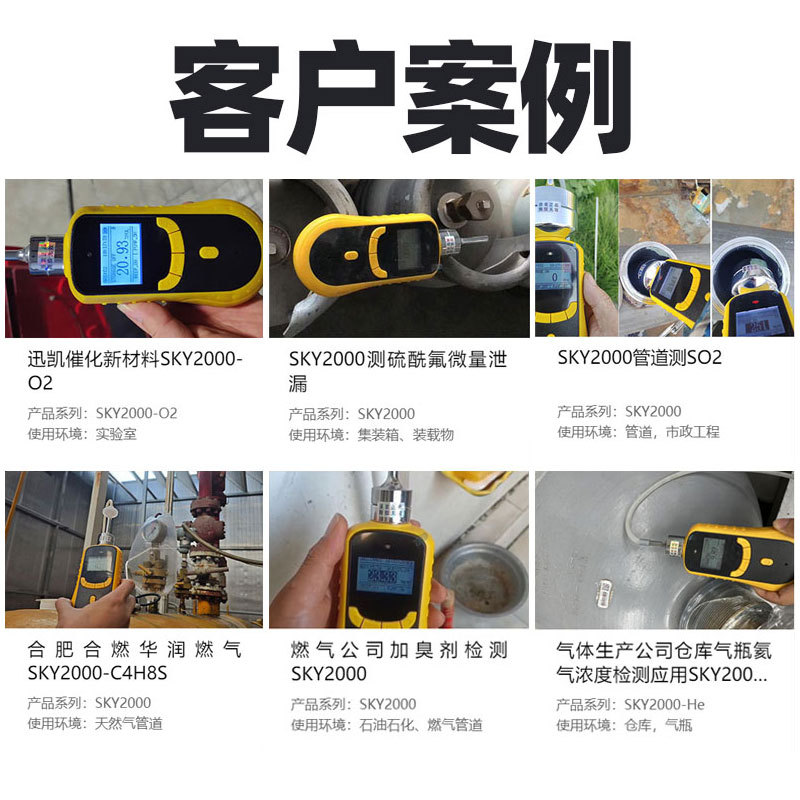 Hydrogen Detector Combustible Gas Alarm Combustible Gas Detector Toxic and Harmful Gas Detector Equipment