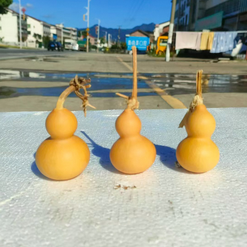Factory Direct Supply of Natural Gourds for Hand-Twisting, Mini Gourds for Hand-Twisting, Natural Gourds with Taps for Wholesale