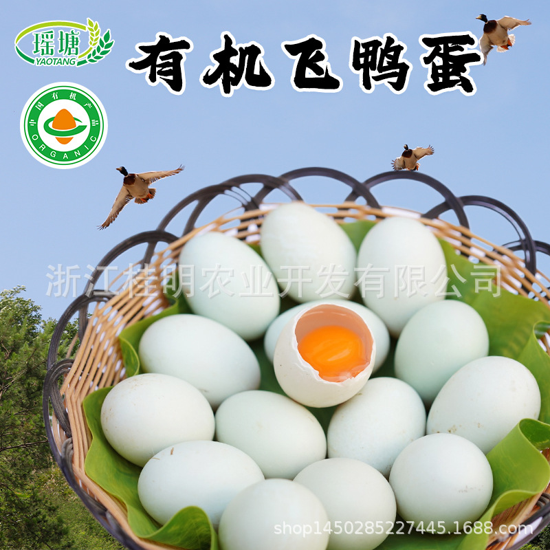 Organic Flying Duck Eggs